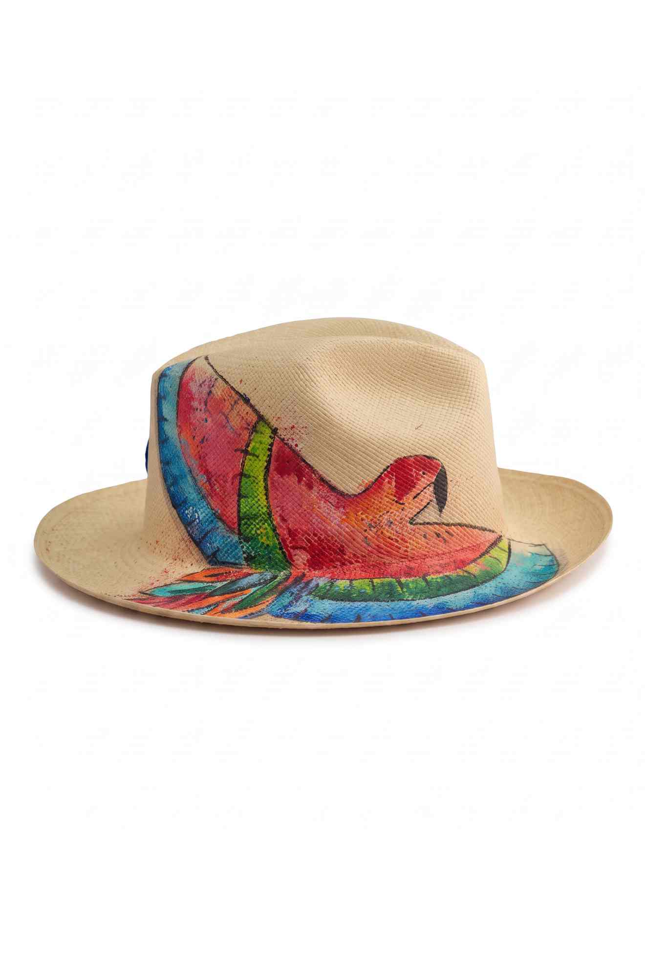 Scarlet macaw melody Panama hat